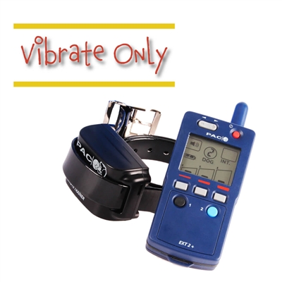 Dog training collar vibration only best sale