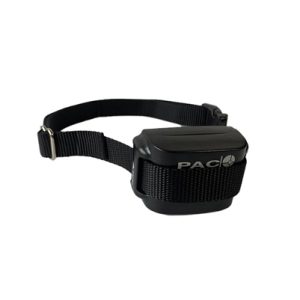 Dummy Collar for Medium/Large Dog