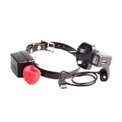 PAC Miniature/Small Dog Training Collar | EXC6