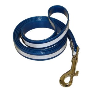 Reflective Dog Leash | Blue