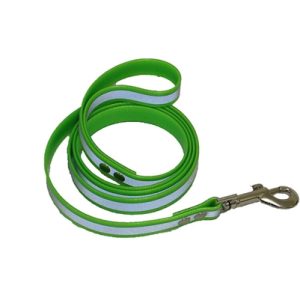 Reflective Dog Leash | Green