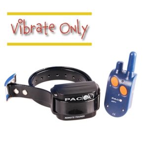 PAC BUZZ Medium/Large Dog Training System | 1km Range | Vibrate Only | nDXT+
