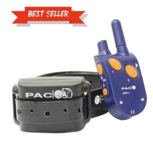 PAC Medium/Large Dog Training System | 1km Range | nDXT+