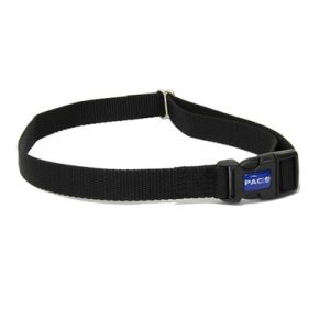Nylon Webbing Strap