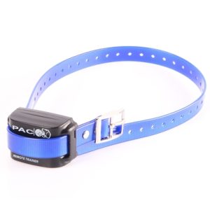 PAC BUZZ Medium/Large Dog Collar
