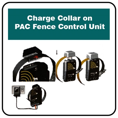 PAC Fence Medium/Large Dog Collar | F6C - Image 2