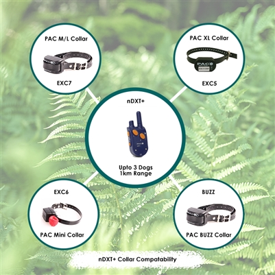PAC Miniature/Small Dog Training System | 1km Range | nDXT+ - Image 6